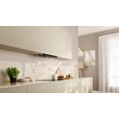Neff D67XDP2S0 beépíthető páraelszívó, 60cm ,üveg légterelő panel